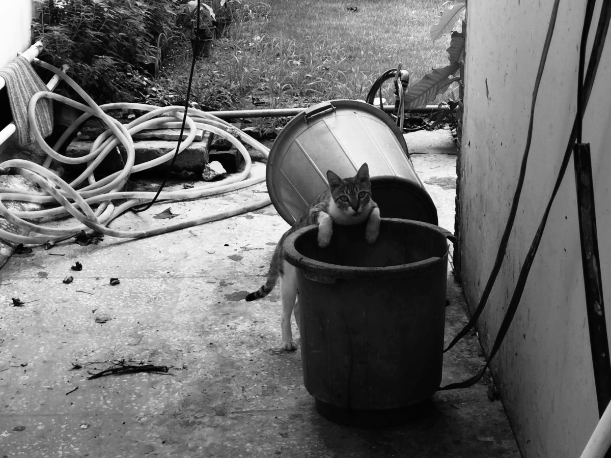 MODERN LIFE IS&nbsp;RUBBISH